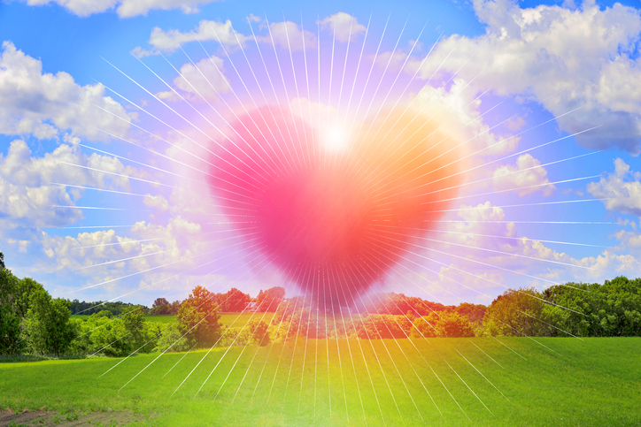Heart
