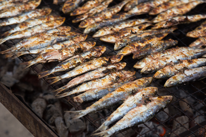sardines